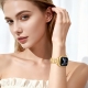 zinc alloy watch strap with diamond-embroidered edge design