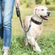 Air Tag Collar