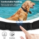 Air Tag Collar